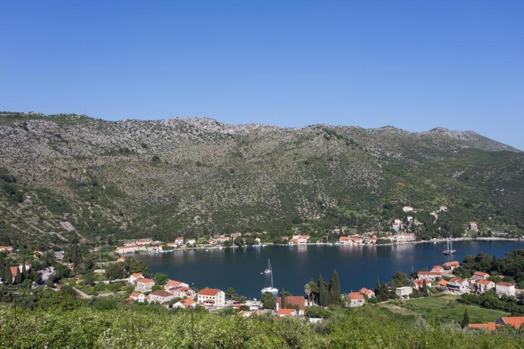 Villa Malfi Затон Номер фото
